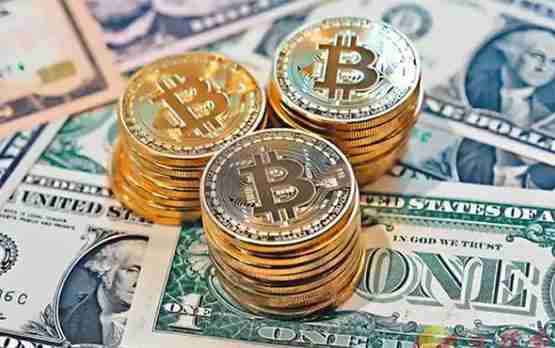 Bitwise：企业购买比特币 一个被忽视的大趋势